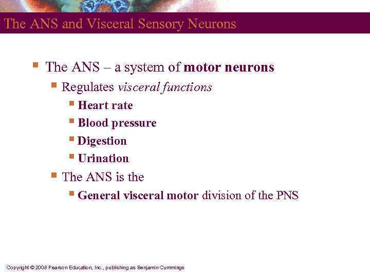 The ANS and Visceral Sensory Neurons   §  The ANS – a