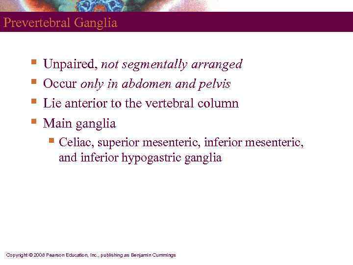 Prevertebral Ganglia   §  Unpaired, not segmentally arranged  §  Occur