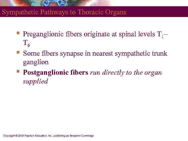 Sympathetic Pathways to Thoracic Organs   §  Preganglionic fibers originate at spinal