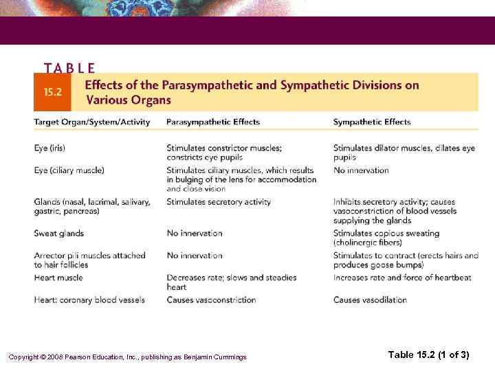 Copyright © 2008 Pearson Education, Inc. , publishing as Benjamin Cummings  Table 15.