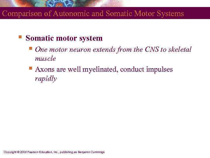 Comparison of Autonomic and Somatic Motor Systems   §  Somatic motor system