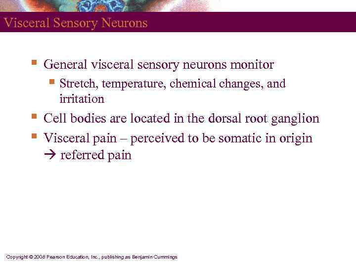Visceral Sensory Neurons   §  General visceral sensory neurons monitor  