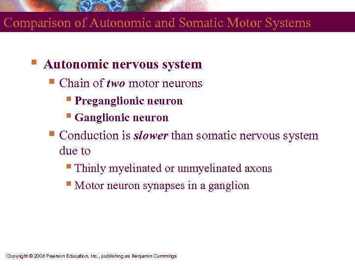 Comparison of Autonomic and Somatic Motor Systems   §  Autonomic nervous system