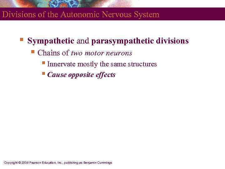 Divisions of the Autonomic Nervous System   §  Sympathetic and parasympathetic divisions
