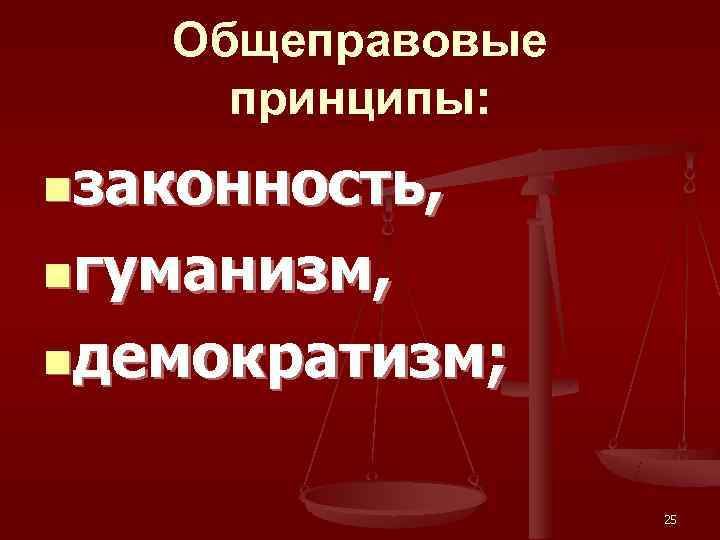   Общеправовые принципы: nзаконность,  nгуманизм,  nдемократизм;    25 