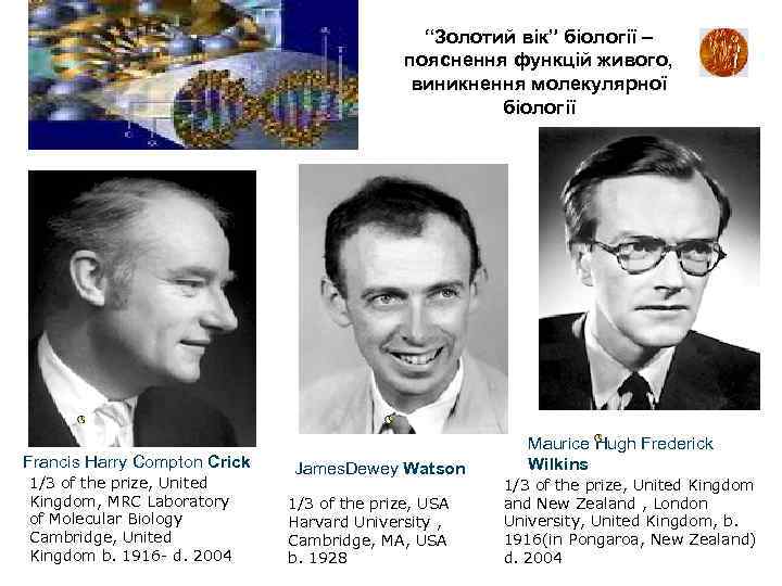 “Золотий вік” біології – пояснення функцій “Золотий вік” біології – пояснення функцій