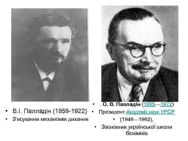 • . О. В. Палладін (1885— 1972) • . О. В. Палладін (1885— 1972)