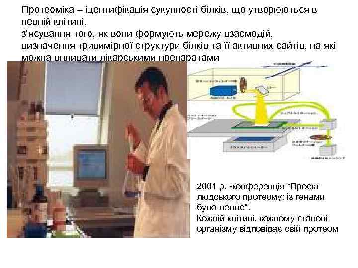Протеоміка – ідентифікація сукупності білків, що утворюються в певній клітині, з’ясування того, як вони Протеоміка – ідентифікація сукупності білків, що утворюються в певній клітині, з’ясування того, як вони