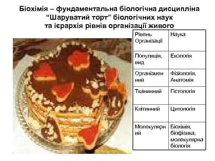 Біохімія – фундаментальна біологічна дисципліна “Шаруватий торт” біологічних наук та ієрархія Біохімія – фундаментальна біологічна дисципліна “Шаруватий торт” біологічних наук та ієрархія