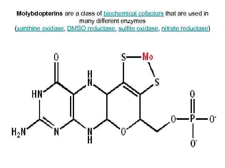  Molybdopterins are a class of biochemical cofactors that are used in  