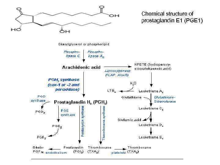 Chemical structure of prostaglandin E 1 (PGE 1) 