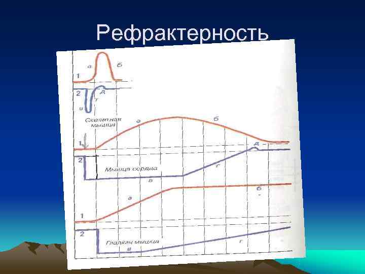 Рефрактерность 