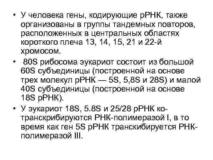• У человека гены, кодирующие р. РНК, также организованы в группы тандемных • У человека гены, кодирующие р. РНК, также организованы в группы тандемных