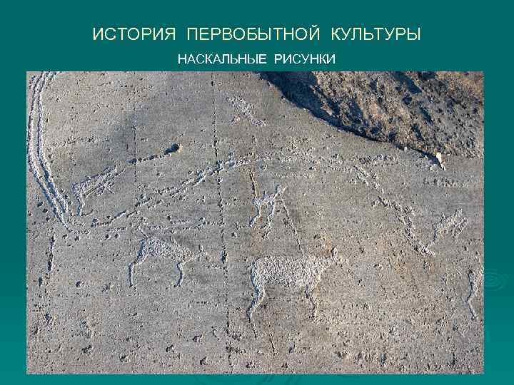 ИСТОРИЯ ПЕРВОБЫТНОЙ КУЛЬТУРЫ  НАСКАЛЬНЫЕ РИСУНКИ 