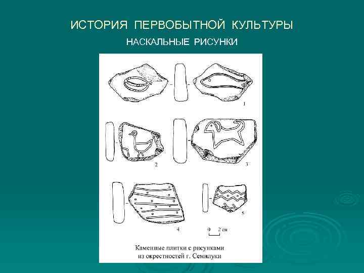 ИСТОРИЯ ПЕРВОБЫТНОЙ КУЛЬТУРЫ  НАСКАЛЬНЫЕ РИСУНКИ 