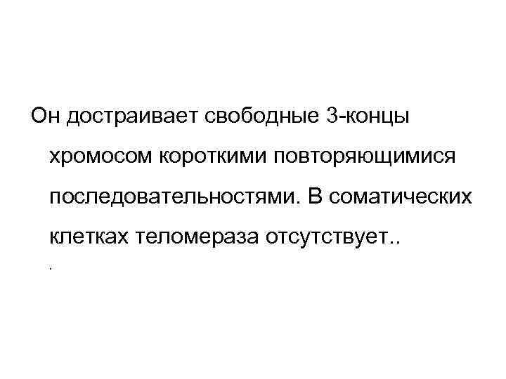 Он достраивает свободные 3 -концы хромосом короткими повторяющимися последовательностями. В соматических клетках теломераза отсутствует.