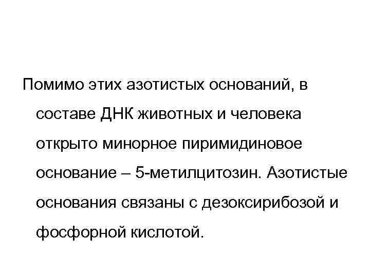 Помимо этих азотистых оснований, в составе ДНК животных и человека открыто минорное пиримидиновое основание