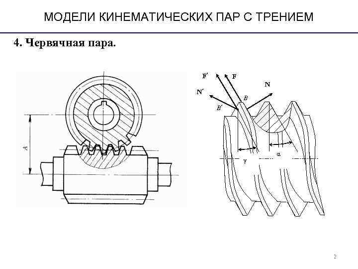 МОДЕЛИ КИНЕМАТИЧЕСКИХ ПАР С ТРЕНИЕМ 4. Червячная пара. МОДЕЛИ КИНЕМАТИЧЕСКИХ ПАР С ТРЕНИЕМ 4. Червячная пара.