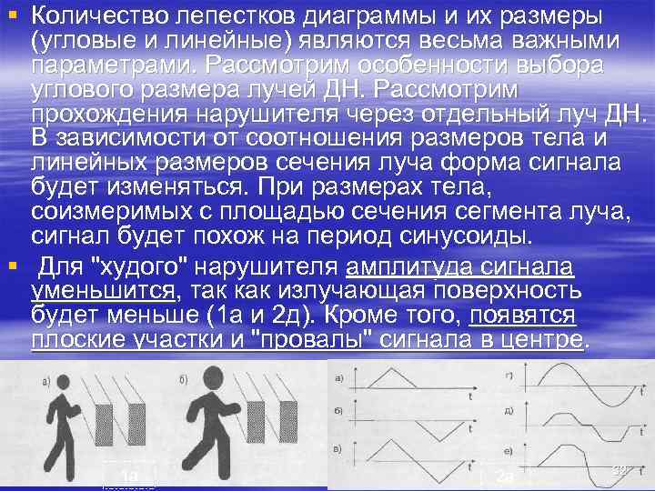 § Количество лепестков диаграммы и их размеры  (угловые и линейные) являются весьма важными
