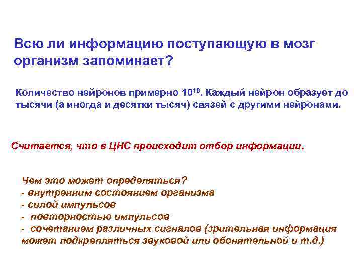 Всю ли информацию поступающую в мозг организм запоминает?  Количество нейронов примерно 1010. Каждый