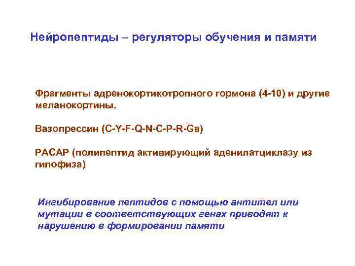 Нейропептиды – регуляторы обучения и памяти  Фрагменты адренокортикотропного гормона (4 -10) и другие