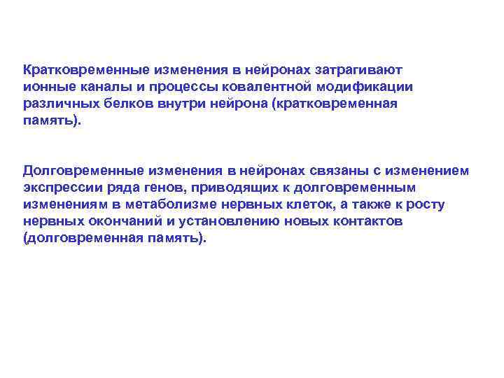 Кратковременные изменения в нейронах затрагивают ионные каналы и процессы ковалентной модификации различных белков внутри
