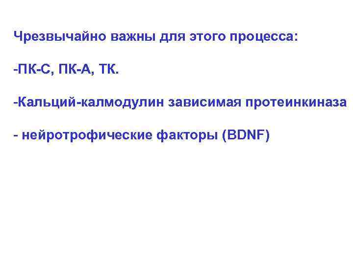 Чрезвычайно важны для этого процесса:  -ПК-С, ПК-А, ТК.  -Кальций-калмодулин зависимая протеинкиназа -