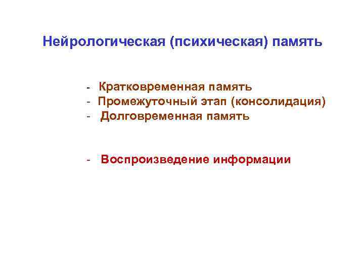 Нейрологическая (психическая) память  - Кратковременная память - Промежуточный этап (консолидация) - Долговременная память