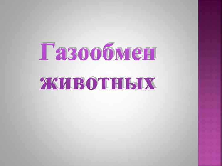 Газообмен животных 