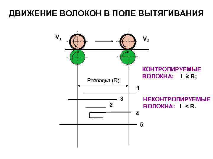 ДВИЖЕНИЕ ВОЛОКОН В ПОЛЕ ВЫТЯГИВАНИЯ V 1 ДВИЖЕНИЕ ВОЛОКОН В ПОЛЕ ВЫТЯГИВАНИЯ V 1