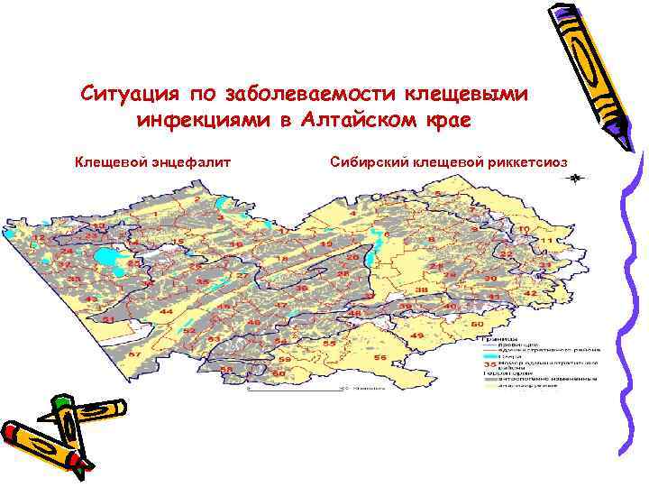 Волгу картография и геоинформатика