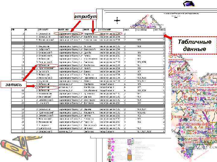 атрибут Табличные данные запись атрибут Табличные данные запись