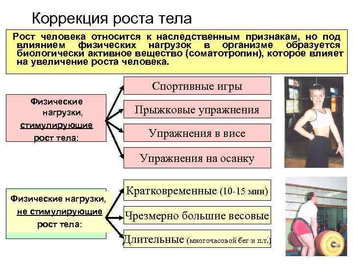   Коррекция роста тела Рост человека относится к наследственным признакам, но под влиянием