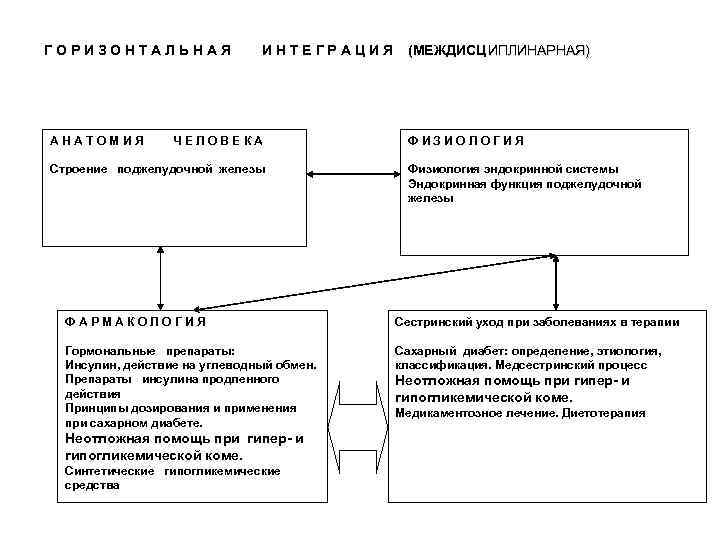 ГОРИЗОНТАЛЬНАЯ   ИНТЕГРАЦИЯ  (МЕЖДИСЦ ИПЛИНАРНАЯ) АНАТОМИЯ   ЧЕЛОВЕКА   