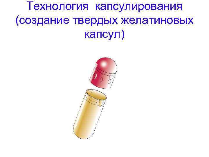  Технология капсулирования (создание твердых желатиновых   капсул) 