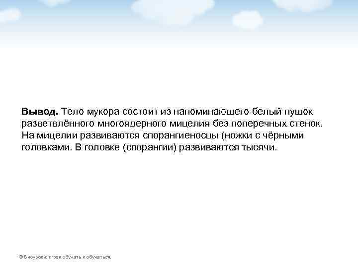 Вывод. Тело мукора состоит из напоминающего белый пушок разветвлённого многоядерного мицелия без поперечных стенок.