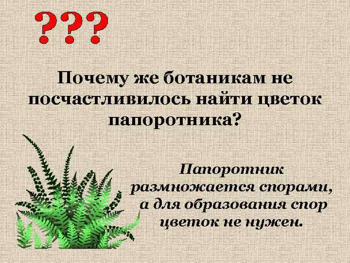   Почему же ботаникам не посчастливилось найти цветок   папоротника?  