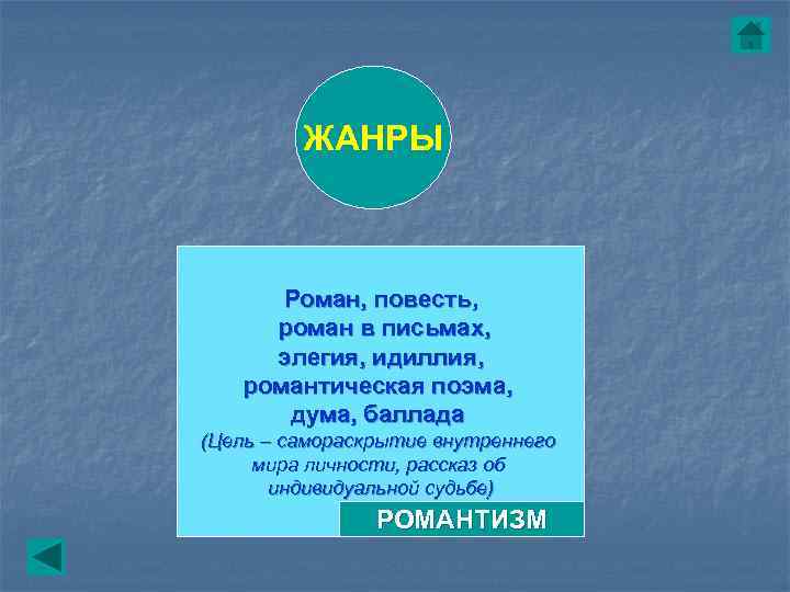    ЖАНРЫ   Роман, повесть,  роман в письмах,  элегия,