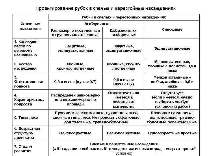 Проект рубок ухода в молодняках образец