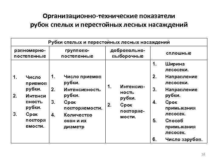 Проект мероприятий по содействию естественному лесовозобновлению