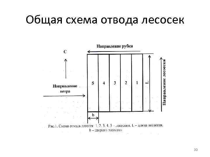 Отвод лесосек аттестация