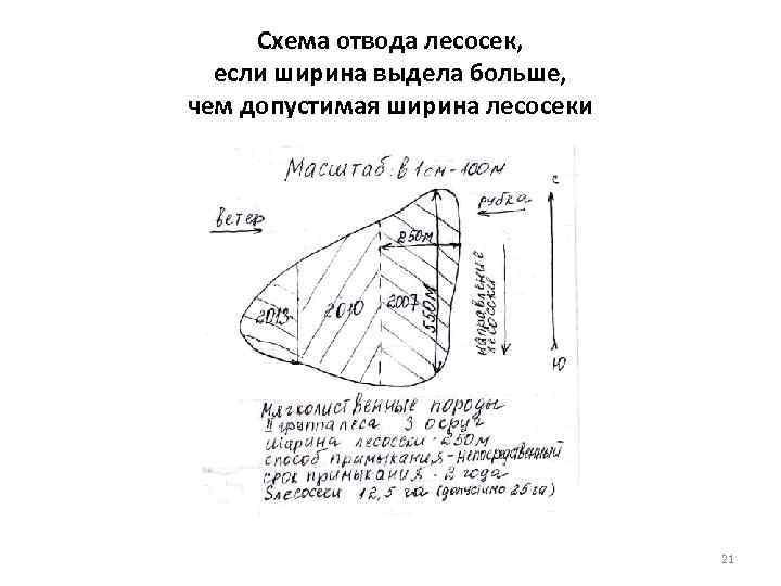 Расчетно технологическая карта на отвод лесосек