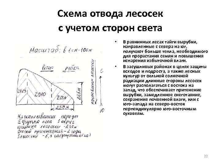 Схема отвода лесосек