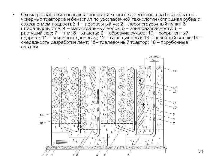  •  Схема разработки лесосек с трелевкой хлыстов за вершины на базе канатно