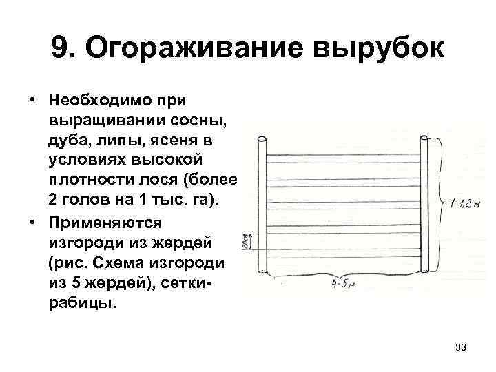 9. Огораживание вырубок • Необходимо при  выращивании сосны,  дуба, липы, ясеня
