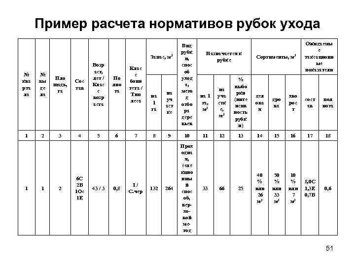 Проект ухода за лесами образец