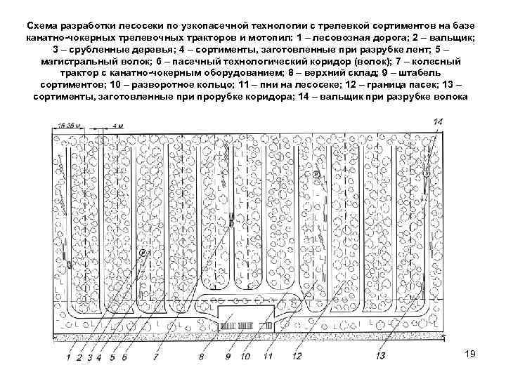 Технологическая карта образец лесосеки