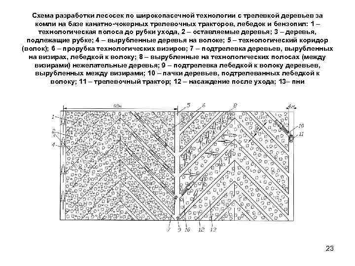 Схема освоения лесосек