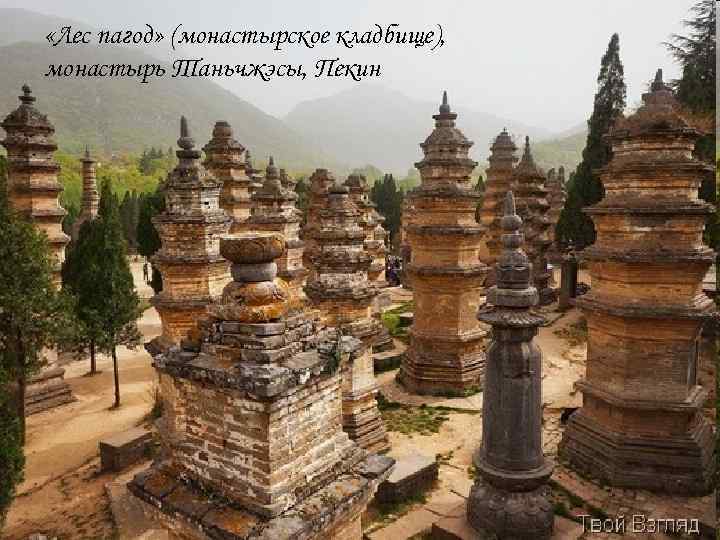«Лес пагод» (монастырское кладбище), монастырь Таньчжэсы, Пекин «Лес пагод» (монастырское кладбище), монастырь Таньчжэсы, Пекин