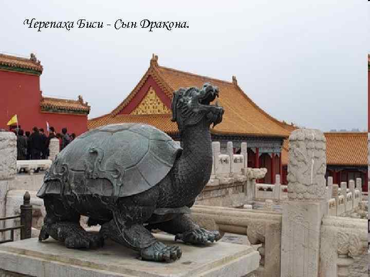 Черепаха Биси - Сын Дракона. Черепаха Биси - Сын Дракона.